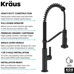 Commercial Style 2-Function Single Handle Pull Down Kitchen Faucet in Matte Black