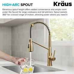 Commercial Style 2-Function Single Handle Pull Down Kitchen Faucet in Spot-Free Brushed Brass