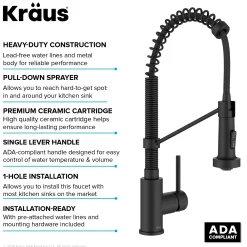 Commercial Style 2-Function Single Handle Pull Down Kitchen Faucet in Matte Black