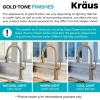 10" Deck Plate for Kitchen Faucet in Brushed Gold