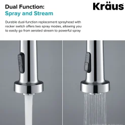 Dual Function Kitchen Faucet Sprayer in Chrome
