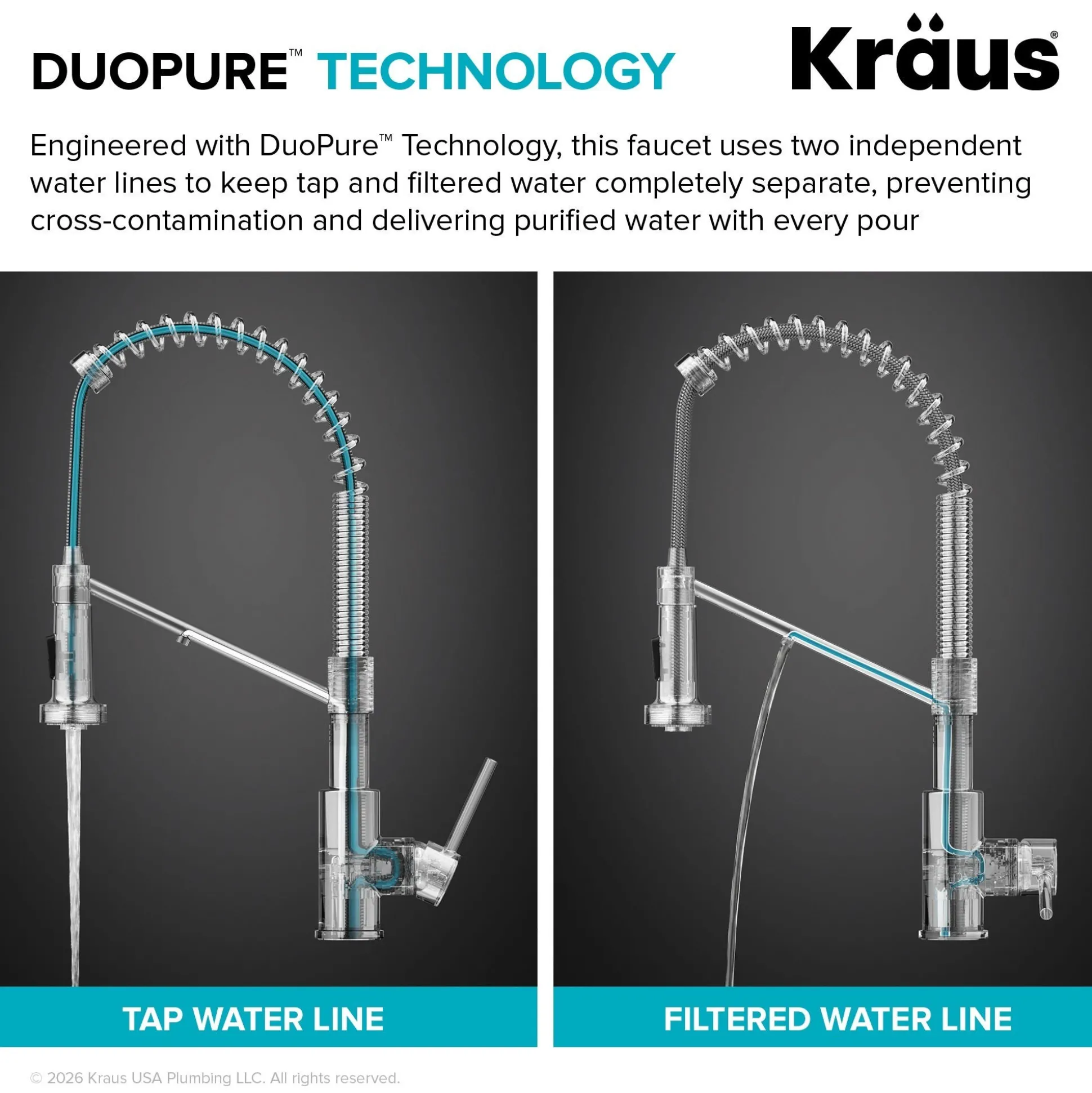 2-in-1 Commercial Style Pull Down Single Handle Water Filter Kitchen Faucet for Reverse Osmosis or Water Filtration System in Spot-Free Brushed Brass