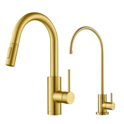Pull-Down Kitchen Faucet and Water Filter Faucet Combo in Brushed Brass