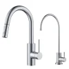 Pull-Down Kitchen Faucet and Water Filter Faucet Combo in Chrome