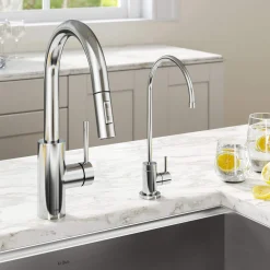 Pull-Down Kitchen Faucet and Water Filter Faucet Combo in Chrome
