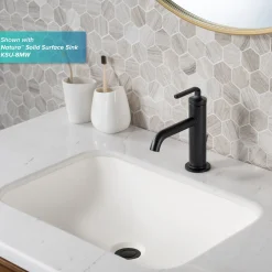 Single Handle Basin Bathroom Faucet with Lift Rod Drain in Matte Black (2-Pack)