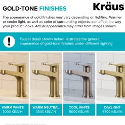 Single Handle Bathroom Faucet in Spot-Free Brushed Brass with Pop Up Drain and Supply Lines